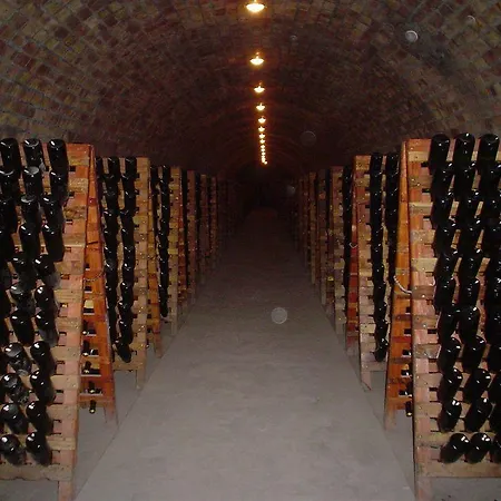 Hotel Le Moulin Du Landion Et